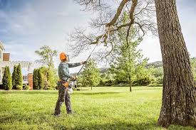 Best Tree Maintenance Programs  in Hunter, OH