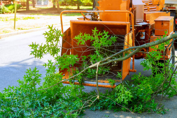 Best Emergency Tree Removal  in Hunter, OH